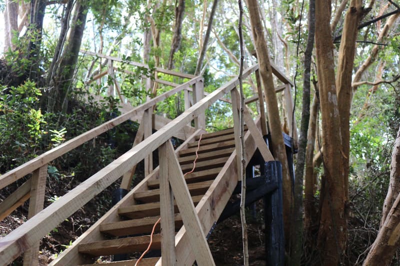 Escalera de madera con barandas, construida sobre un escarpe con pendiente pronunciada, en Pichiquillaipe, Puerto Montt